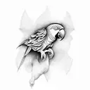parrot tattoo design idea