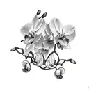 Orchid and angel trumpet tattoo design idea