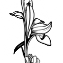 gladiola and paperwhite narcissus flower with stem tattoo design idea