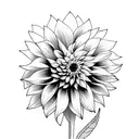 dahlia tattoo design idea