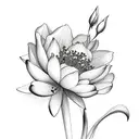 bouquet with a carnation, a waterlilly, a rose, a cosmos, a lilly of the valley, a larkspur, a morning glory, a hawthorn tattoo design idea