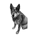 a blue heeler tattoo design idea