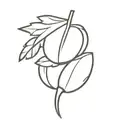 acorn tattoo design idea