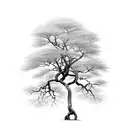 Brazilian tree with large exposed roots and long branches with lots of foliage  tattoo design idea