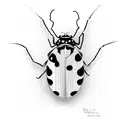 Ladybug tattoo design idea