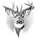 Buckeye leaves whitetail deer turkey buckeye nuts Ohio state red gray black tattoo design idea