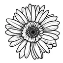 universe around gerbera  tattoo design idea