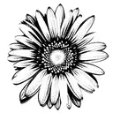 universe around gerbera  tattoo design idea