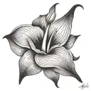 Soy muy hermosa with a calla lily flower tattoo design idea