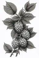 raspberry branch representing stoma tattoo design idea