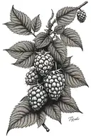 raspberry branch representing stoma tattoo design idea
