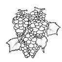aesthetic grapes tattoo design idea