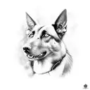 belgian malinois  tattoo design idea