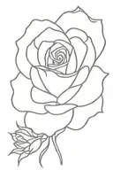 rose burning tattoo design idea