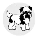 shih tzu tattoo design idea