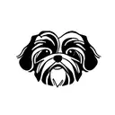 shih tzu tattoo design idea
