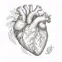 anatomical heart tattoo design idea