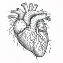 anatomical heart tattoo design idea