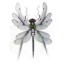 dragonflies  tattoo design idea