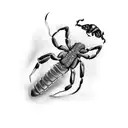scorpion with name Kenneth  tattoo design idea