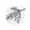 dill branch tattoo design idea