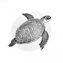 Turtle tattoo design idea