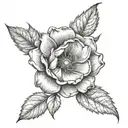 December birth flower December birth flower; May birth Flower; August birth Flower; March birth Flower tattoo design idea
