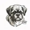 Tattoo of my dog, Shih Tzu puppy , is name is "chico" tattoo design idea