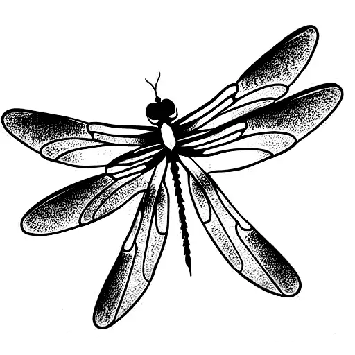 2 very dainty dragonflies following eachother less detail tattoo design idea