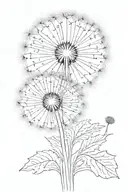 Dandelion Head: The overall shape starts broad and rounded, with a well-defined circular outline. The artist can use a s tattoo design idea