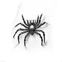 Spider tattoo design idea