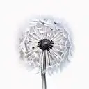 Dandelion tattoo design idea