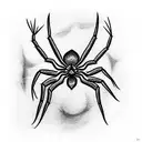 Spider tattoo design idea