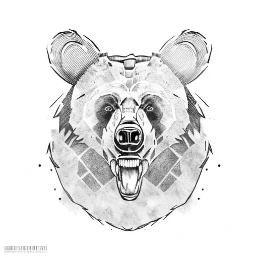 bear skull side sketch