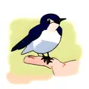 Swallow Bird tattoo design idea