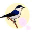 Swallow Bird tattoo design idea