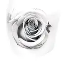 violets and roses tattoo design idea