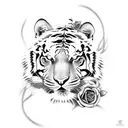 mad tiger with roses and lines going around it tattoo design idea