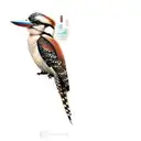kookaburra tattoo design idea