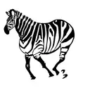 zebra tattoo design idea