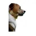 a labrador retriever tattoo design idea