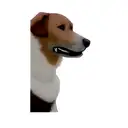 a labrador retriever tattoo design idea