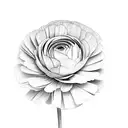 ranunculus flower  tattoo design idea