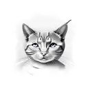 schroedinger cat inside The box tattoo design idea