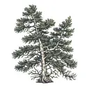 evergreen tree, dark, life tattoo design idea