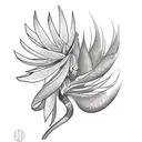Bird of Paradise tattoo design idea