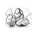 cocoa pods tattoo design idea