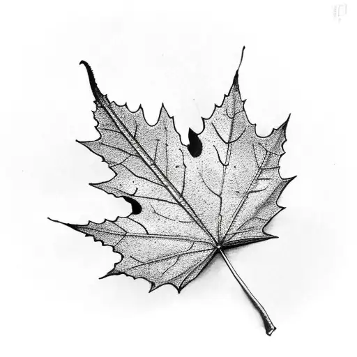 maple leaf and kangaroo  tattoo design idea