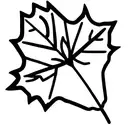 Maple Leaf tattoo design idea