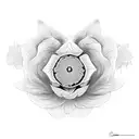 amapolas  tattoo design idea